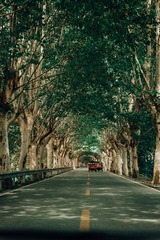 F406FE36-A9F2-46BF-9C21-AA3DD37E3AB7/L0/001