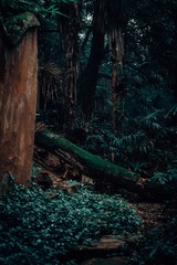 917EC100-F2C9-4722-8D74-5878A40EA0B9/L0/001