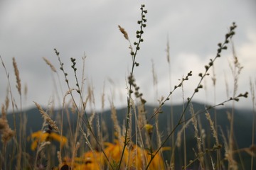 F5E113E0-CD63-4788-A198-E71C7AF931C2/L0/001