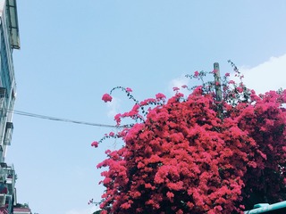 360B8272-B1D0-4721-B7DA-38C824D06D0F/L0/001
