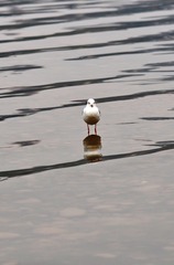 674963
