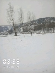 FA65CF41-5329-4221-8F73-07AB416D345C/L0/001