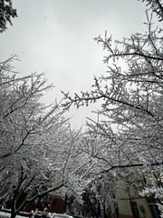 F85E4D07-E334-4EE4-BE7A-88BE005D3530/L0/001
