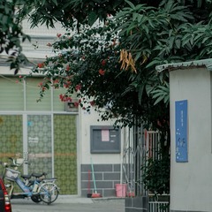 F06D4336-DAE9-4A27-BE86-451F46359821/L0/001