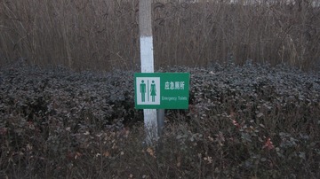 62975