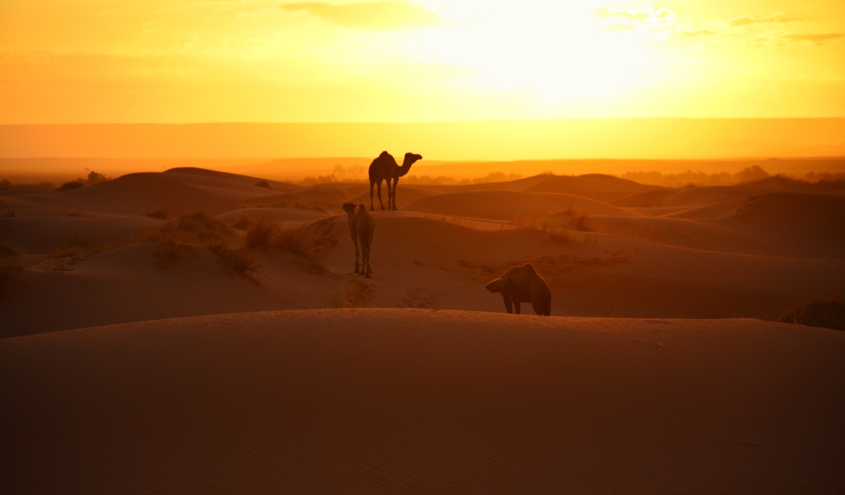 撒哈拉沙漠上的日落超美