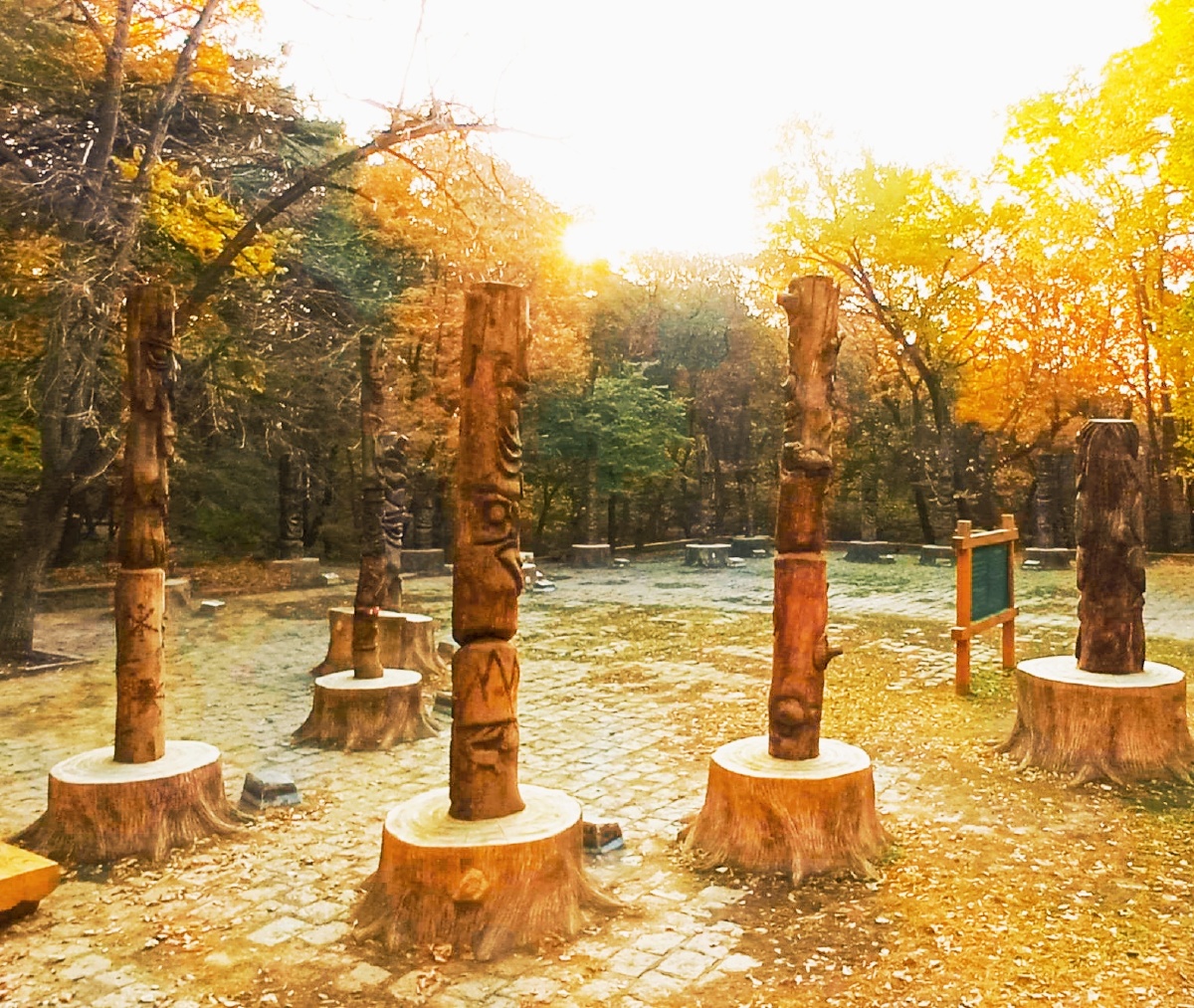 《金色的沈阳东陵郊野公园龙尾湖》去年深秋的早晨,我来到了沈阳市
