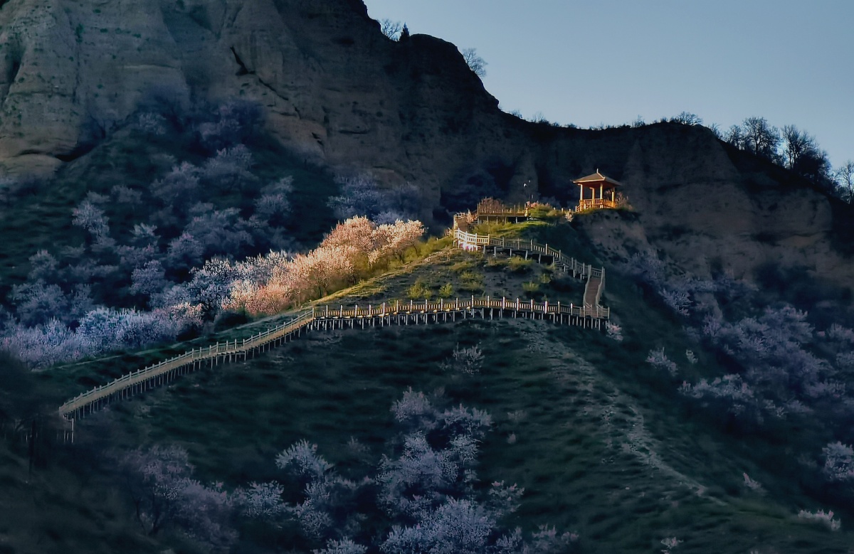 伊犁霍城福寿山也叫大西沟是刚开发并推广的又一处看杏花的去处值得一