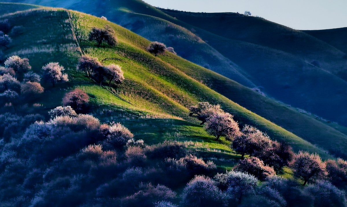 早晨的新疆伊犁吐尔根杏花沟与傍晚时刻一样令人着迷