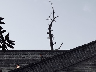 2EAD7485-2DED-41E8-9939-5FEC5212C20A/L0/001