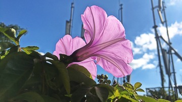9918888B-F14E-4907-B0F8-7F2070E950D3/L0/001