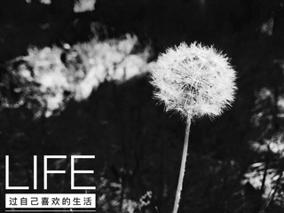 DA58DF7E-3390-43A2-9295-C009F501ED6D/L0/001