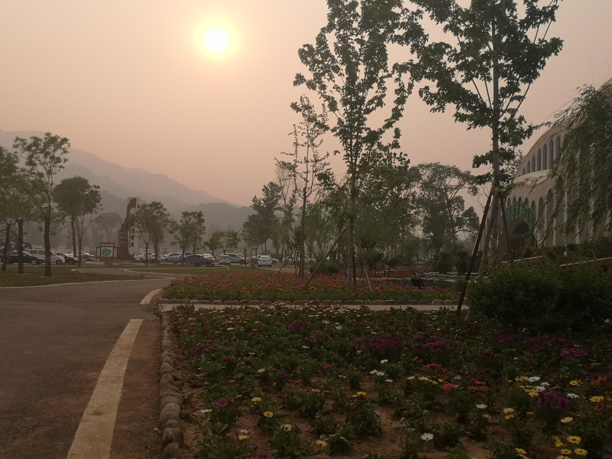 花溪谷树桥公园感受夕阳西下在树和花哒海洋中迎接新一天哒来到