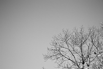 虚空
