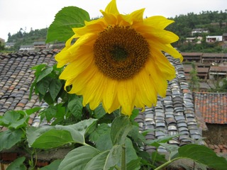 5C18C805-E74C-4C29-81A8-2A8636C9B9AD/L0/001