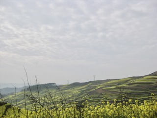 BF8236BA-D599-489D-8478-2393297134B5/L0/001