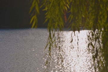 5CE51D67-24D9-42BA-84AF-B88E7910973A/L0/001
