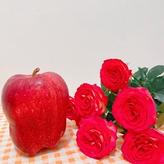 0CD30304-D3DA-41E0-8173-E7D5E2EEEBFF/L0/001