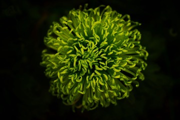 1252181