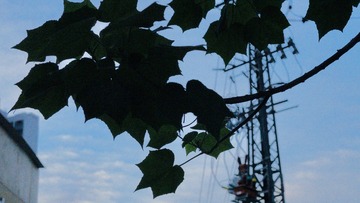 93F647D0-96C3-4F97-A208-2B0526B1CB4B/L0/001