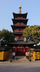954429