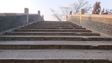 954437
