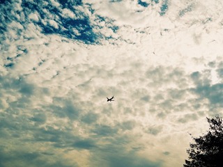 0C9ECADD-D0A0-4C8F-B5BD-268D48B4F896/L0/001