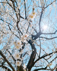 E9C6B86E-A5EF-41F2-92E1-A07A5B736C64/L0/001