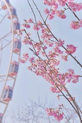 181DC190-D226-4842-AC92-1FEAA3E6AD1B/L0/001
