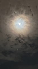 8D51D7D0-F619-485D-97AA-4822C3956F37/L0/001