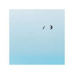 41D1BC60-3284-4A70-8BCC-5D89A8D870D8/L0/001