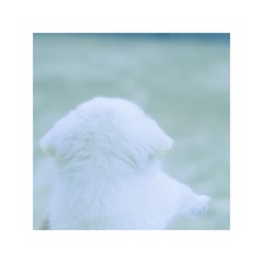 0C7CF14C-5719-4102-A07D-0CC5DAA156AF/L0/001