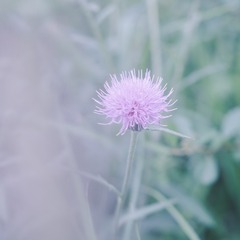 EF45C733-D4DF-44C6-BDF6-D68595403D0C/L0/001