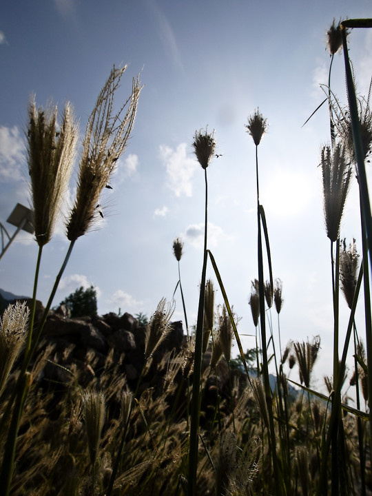 雾灵山之行<br />
