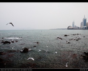 青岛