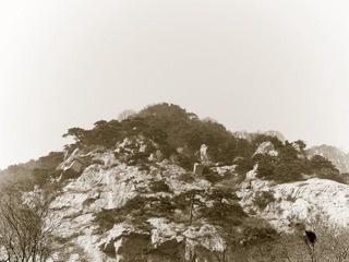 泰山