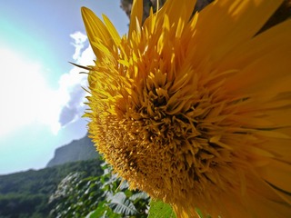 雾灵山之行