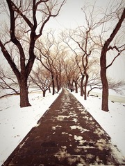 雪中颐和园
