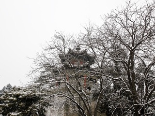 雪中颐和园