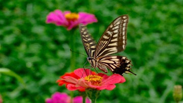 26938E96-24CC-4C51-857A-CA5776414E74/L0/001