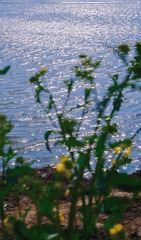 A7F5C038-3581-422B-AC73-8BBFEA13DFC7/L0/001