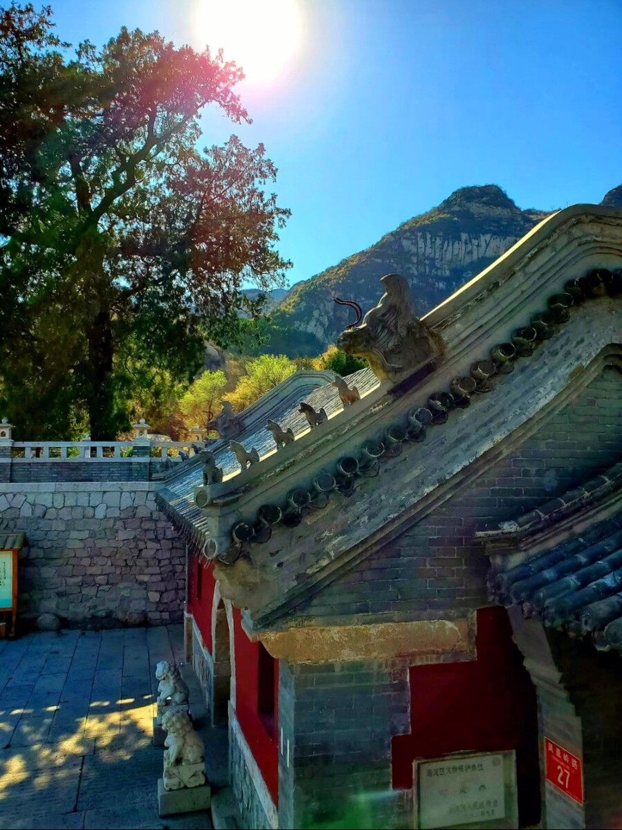 Ȫ