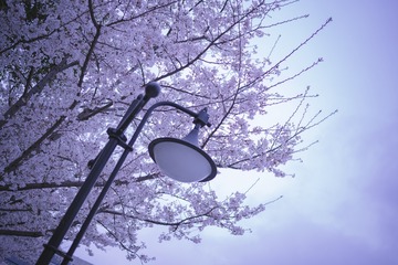 D08D6ACB-B60A-4945-8543-6F72C593C41C/L0/001