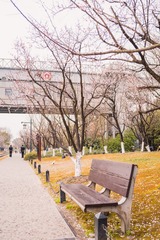 B4677FD3-7300-4D0A-87DB-E5126CD47E80/L0/001