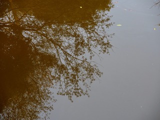 B33EB4B3-B466-41EF-88B9-8B0450629064/L0/001