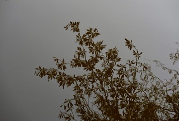 2212875B-6659-4DAA-AE27-5A988CE11CB5/L0/001