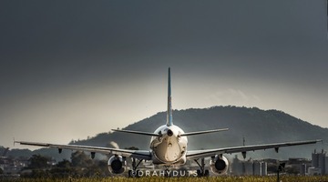 302819