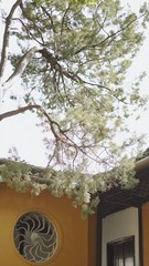 75F01179-67D3-4FF7-A511-F18A413EF2F8/L0/001