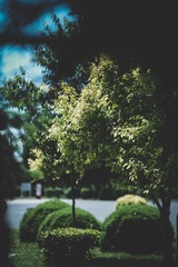 C486D37F-B1C6-4C47-9BB7-EB6067688809/L0/001