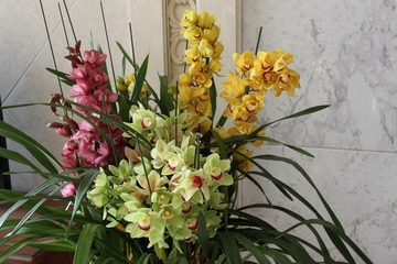 花。。
